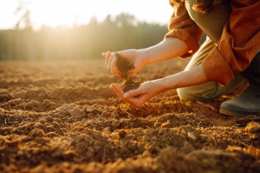 Uzman bir çiftçinin eli sebze veya bitki tohumu yetiştirmeden önce toprak ve toprak sağlığını kontrol eder. İş ya da ekoloji.