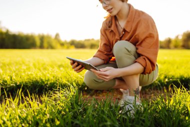 Çiftçi el tarladaki yeşil buğday yapraklarına dokunur. Doğal tarım kavramı, tarım, işçiler mahsullere dokunur ve filizleri kontrol eder..