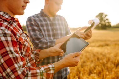  Akıllı çiftlik. Tablet çiftçilerin elinde. Tarım, bahçıvanlık veya ekoloji kavramı