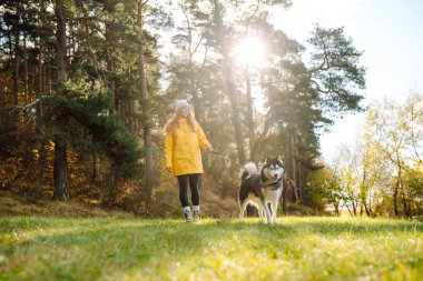 Genç bir kadın sonbahar ormanında köpeğiyle yürür. İri köpek. Evcil hayvan sahibi köpeğini dışarı çıkarmayı sever..