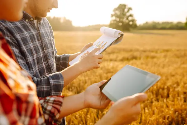 Smart Farm Tablet Der Hand Der Bauern Landwirtschaft Gartenbau Oder Stockbild