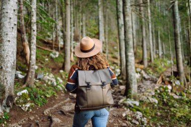 Ormandaki patikada sırt çantalı bir kadın turist. Seyahatler. Etkin yaşam biçimi.