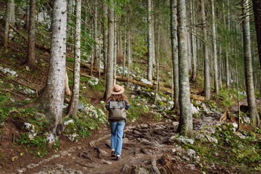 Ormandaki patikada sırt çantalı bir kadın turist. Seyahatler. Etkin yaşam biçimi.