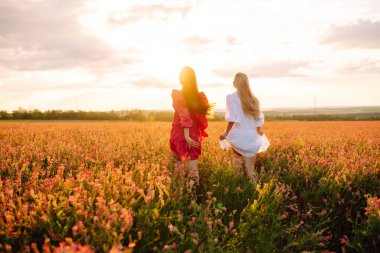 Gün batımında çiçek açan tarlada iki güzel kadın. Doğa, tatil, rahatlama ve yaşam tarzı. Yaz manzarası.
