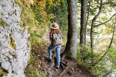 Sırt çantalı genç bir gezgin uzun kozalaklı ağaçlarla ormanda duruyor, doğanın tadını çıkarıyor. Hafta sonu, turizm. 