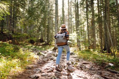 Sırt çantalı genç bir gezgin uzun kozalaklı ağaçlarla ormanda duruyor, doğanın tadını çıkarıyor. Hafta sonu, turizm. 