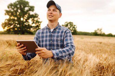 Tablet ile buğday tarlasında çalışan çiftçi. Modern teknoloji uygulaması tarımsal büyüme faaliyetlerinde. Büyüme dinamikleri.