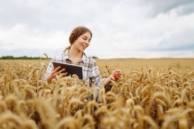 Yazın hasat sırasında buğday tarlasında genç bir çiftçi kadın tabletle. Büyüme dinamikleri. Tarım, bahçıvanlık, iş veya ekoloji kavramı.