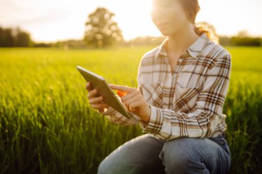 Akıllı çiftlik. Yeşil tarlada tabletli bir kadın çiftçi. Çiftçilik ve sulama kavramı.