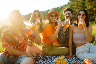 Parkta piknik yapan mutlu genç arkadaşlar. Bira içerken eğlenen bir grup genç, güneşli günün tadını çıkarın. Tatil, hafta sonu, arkadaşlık ya da tatil konsepti. 