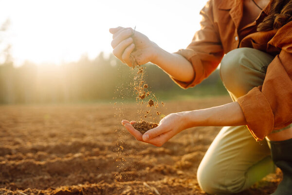 Farmer- woman is checking soil quality before sowing. Agriculture, gardening or ecology concept.
