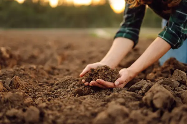 stock image Close up of the female hands touching dry ground in an agricultural field while analyzing soil during the summer day. Business or ecology concept.