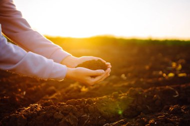 Kadınların elleri tarladaki kara toprakları ayırıyor. Bir kadın çiftçi toprağın kalitesini kontrol eder. Ekoloji, tarım kavramı. Doğa sağlıklı yiyecekler.