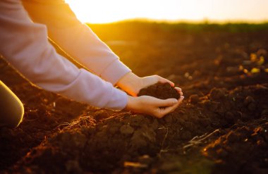 Kadınların elleri tarladaki kara toprakları ayırıyor. Bir kadın çiftçi toprağın kalitesini kontrol eder. Ekoloji, tarım kavramı. Doğa sağlıklı yiyecekler.