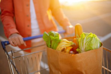 Erkeklerin elindeki kese kağıdında sağlıklı vejetaryen yemekleri. Marketten poşet almış genç bir adam. Arka planda bir araba bagajı. Tüketim, satış, alım, alışveriş, yaşam tarzı konsepti