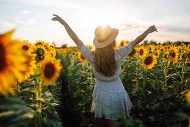 Genç kadın yaz doğasını seviyor, çiçek tarlasında duruyor. Sarı turuncu ayçiçeği. Moda, rahatlama, doğa konsepti..