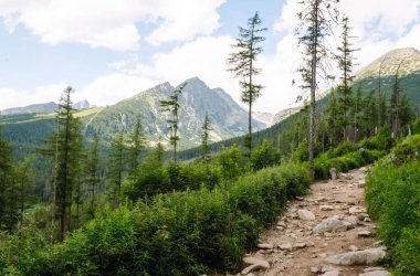 Taştan bir yürüyüş yolu kuru, çimenli bir araziden yukarıdaki açık mavi gökyüzüne doğru uzanıyor. Resimli dağ manzarası.