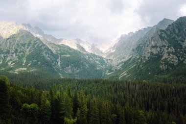 Taştan bir yürüyüş yolu kuru, çimenli bir araziden yukarıdaki açık mavi gökyüzüne doğru uzanıyor. Resimli dağ manzarası.