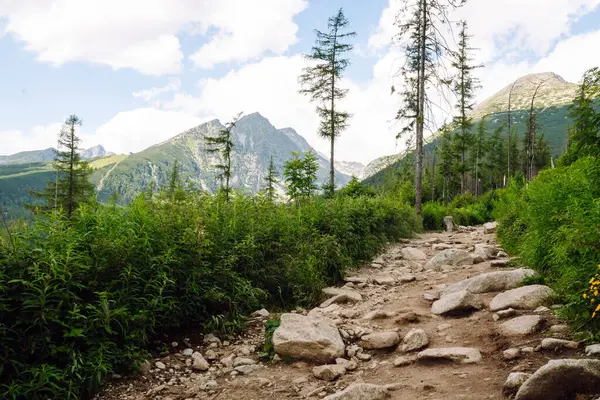 Taştan bir yürüyüş yolu kuru, çimenli bir araziden yukarıdaki açık mavi gökyüzüne doğru uzanıyor. Resimli dağ manzarası.