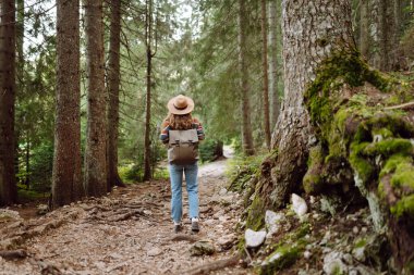 Sırt çantalı genç bir gezgin ulusal parkta ya da ormanda yürüyor. Doğa yürüyüşü, dinlenme ve spor.