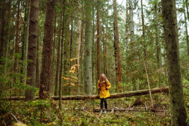 Ormanda uzun çam ağaçlarının arasında yürüyüş yapan bir kadın etrafa bakıyor. Seyahatler. Etkin yaşam biçimi.