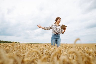 Çiftçi kadın buğday tarlasında tabletle çalışıyor, ekin ekmeyi planlıyor. Tarım, bahçıvanlık, iş ya da ekoloji konsepti. Büyüme dinamikleri.