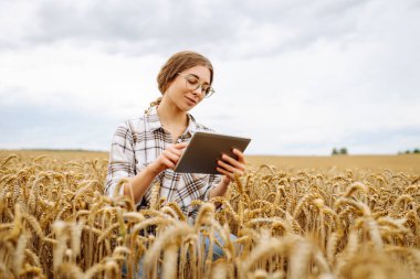Çiftçi kadın buğday tarlasında tabletle çalışıyor, ekin ekmeyi planlıyor. Tarım, bahçıvanlık, iş ya da ekoloji konsepti. Büyüme dinamikleri.