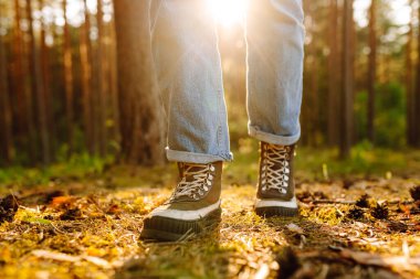 Yeşil bir ormanda dolaşmak için bot giyen bir yetişkinin ayakları. Seyahat ve yürüyüş. Doğa konsepti, rahatlama, yürüme.