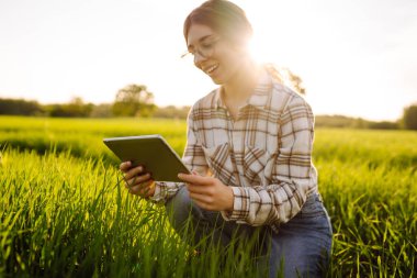 Akıllı çiftlik. Çavdar tarlasında tablet bilgisayar kullanan kadın çiftçi, tarım üretiminde elektronik, teknoloji ve mobil uygulamalar kullanarak modern akıllı tarım kavramı.