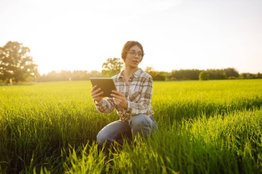 Akıllı çiftlik. Çavdar tarlasında tablet bilgisayar kullanan kadın çiftçi, tarım üretiminde elektronik, teknoloji ve mobil uygulamalar kullanarak modern akıllı tarım kavramı.