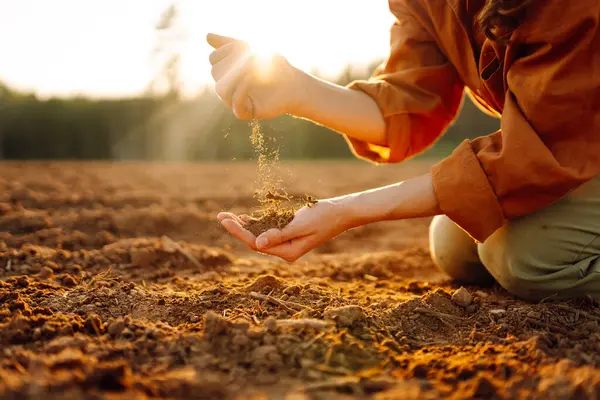 Ellerinde kara toprak tutan çiftçi elleri, verimli topraklar. Bahçe arazisi verimli kavram.