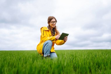 Kadın tarım uzmanı bir tablet kullanıyor, alanın durumunu izlemek için uygulamalar, bitki hastalıkları, gübre hesaplamaları. Teknoloji kavramı, bahçıvanlık..