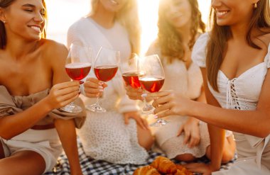 Gülümseyen genç kadınlar kadeh tokuşturup birlikte vakit geçiriyorlar. Kumsalda kızlar partisi. Piknik, tatil, dinlenme, tatil.