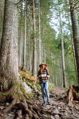 Aktif bir kadın ormanda yürüyüşe çıkar ve patika boyunca yürür. Dişi yürüyüşçü ormanı keşfediyor. Doğa, seyahat, dinlenme konsepti.