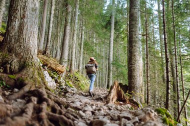 Aktif bir kadın ormanda yürüyüşe çıkar ve patika boyunca yürür. Dişi yürüyüşçü ormanı keşfediyor. Doğa, seyahat, dinlenme konsepti.