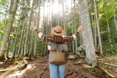 Aktif bir kadın ormanda yürüyüşe çıkar ve patika boyunca yürür. Dişi yürüyüşçü ormanı keşfediyor. Doğa, seyahat, dinlenme konsepti.