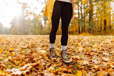 Parktaki sonbahar yaprakları üzerinde yürüyüş botlarıyla kadın bacaklarının yakın çekimi. Seyahat ve yürüyüş. Sonbahar havası.