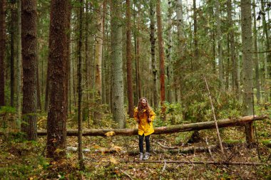Çam ağacında yürüyüş yapan genç bir kadın. Aktif yaşam tarzı. Sonbahar ormanındaki insanlar. Doğa, seyahat, dinlenme konsepti