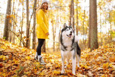 Sonbahar parkında köpeğine sarılan kıvırcık bir genç kadının portresi. İri köpek. Dostluk, evcil hayvan ve insan.