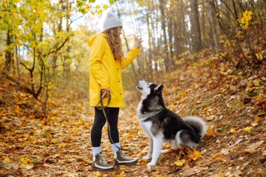 Sonbahar parkında köpeğine sarılan kıvırcık bir genç kadının portresi. İri köpek. Dostluk, evcil hayvan ve insan.