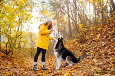 Sonbahar parkında köpeğine sarılan kıvırcık bir genç kadının portresi. İri köpek. Dostluk, evcil hayvan ve insan.