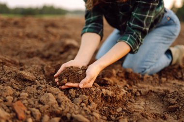 Ellerinde kara toprak tutan dişi çiftçi elleri. Bereketli topraklar. Bahçe arazisi verimli kavram.
