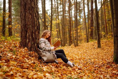 Hoş bir kadın, sonbahar sarı parkında bir ağacın altında oturmuş kitap okuyor. Eğitim. Doğadan zevk alma kavramı.