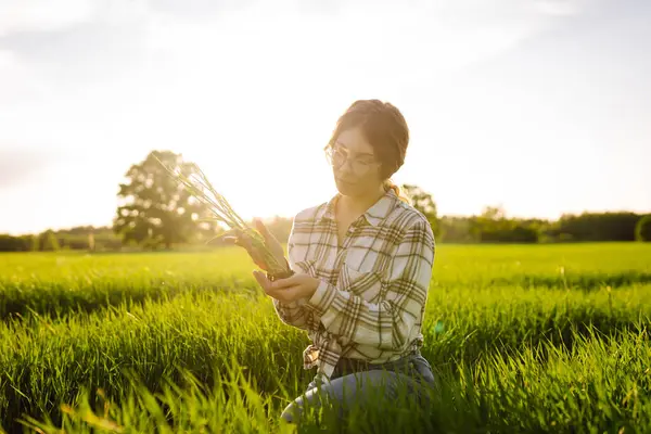 stock image Farmer woman touches the crop and checks the sprouts, protect the ecology of the cultivated. Growing crops, green shoots.