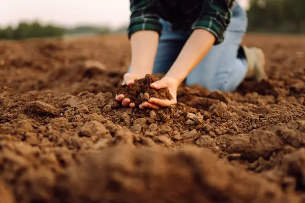 stock image Female farmer hands holding black soil in their hands. Fertile land. garden field ground fertile concept.