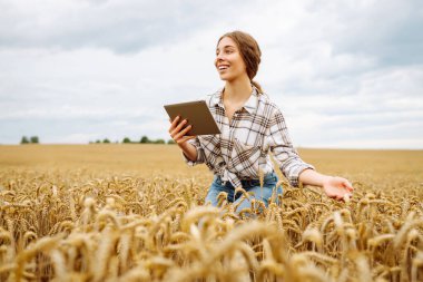 Çiftçi - altın buğday tarlasında ellerinde tabletle bir kadın. Akıllı çiftlik. Tarım, organik bahçe, ekme ya da ekoloji konsepti.