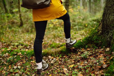 Genç bir kadın çam ormanında yürüyor, doğada sağlık ve ruh sağlığını düzeltiyor. Orman banyosu. Etkin yaşam biçimi.