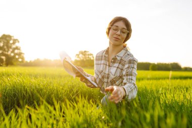 Kadın çiftçi araştırmacı, veriyi artırmanın yollarını analiz etmek için tarladaki yeşil filizli bitkileri toplamak için bir defter kullanıyor. Tarım teknolojisi