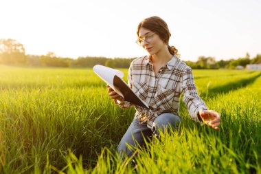 Kadın çiftçi araştırmacı, veriyi artırmanın yollarını analiz etmek için tarladaki yeşil filizli bitkileri toplamak için bir defter kullanıyor. Tarım teknolojisi