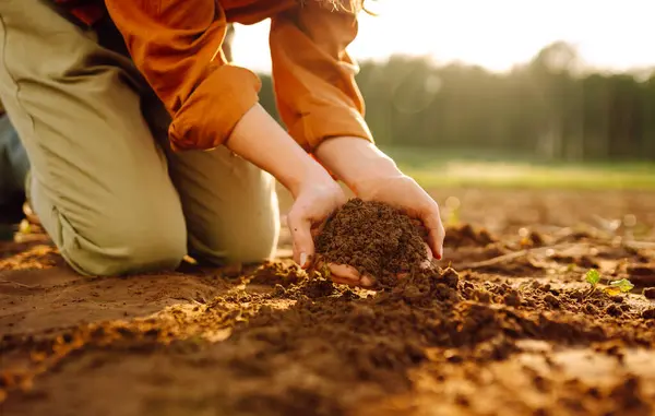 stock image Soil is land in the hands of the farmer. Land plot close-up of hands of farmer mud peat. Garden nature. Ecology of fertile soil. The farmer works in the field. Environment in countryside.